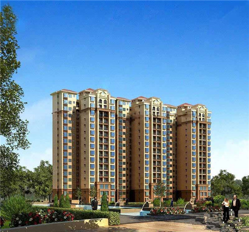 财子台湾槟榔