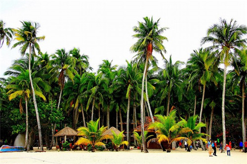 鹅小煲鹅汁捞饭