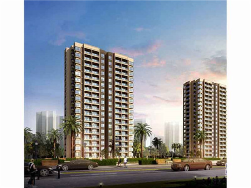 乔东家排骨大包