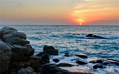 男士运动裤品牌排行榜