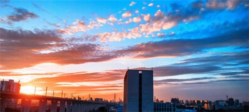 猫爪舞蹈加盟费多少