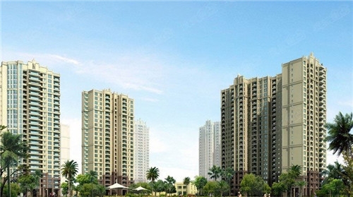 临澧县创业回填宝加盟哪家更优秀