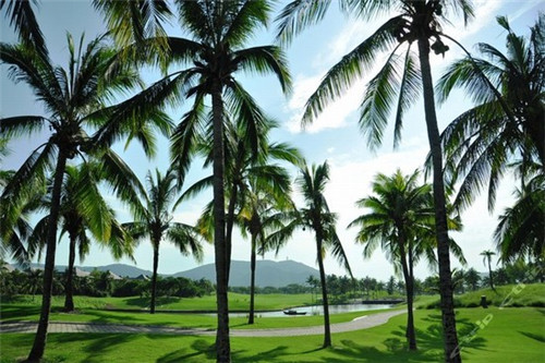 骨盆修复加盟费多少钱啊，骨盆修复加盟费多少