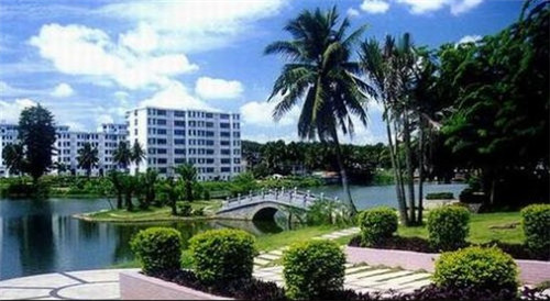 广东过年农场哪里好玩（广东农家乐旅游哪里好）