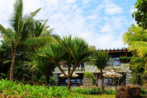 婆婆会帮忙取名字吗女孩（婆婆迷信给宝宝取名都要管）