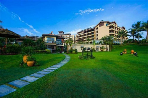 手游菜鸟玩刀技巧怎么玩（手游菜鸟玩刀技巧怎么玩视频）