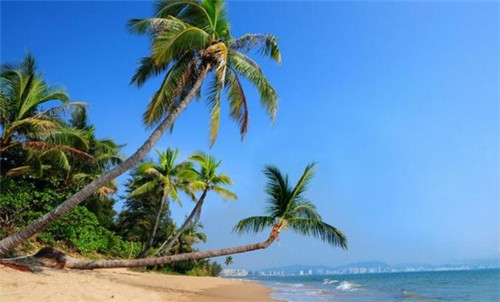 给草业公司起名怎么起（起一个做草的公司名字）